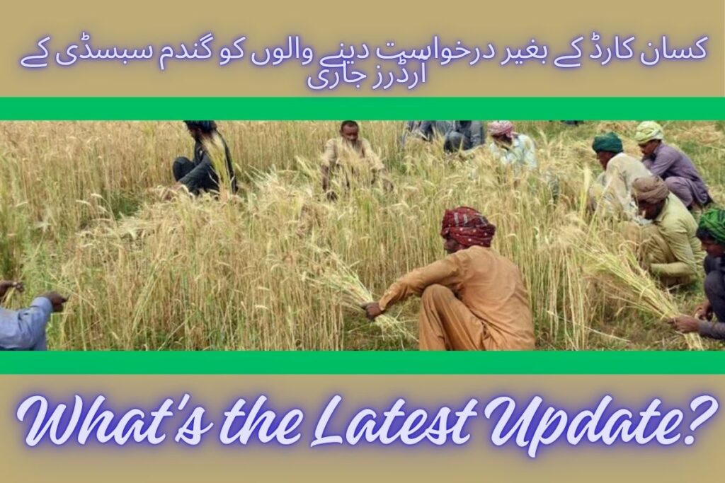wheat subsidy