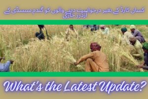 wheat subsidy