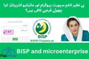 bisp and microenterprise