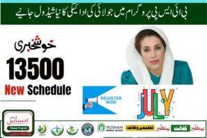 bisp punjab