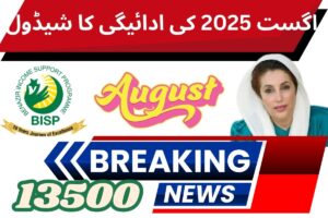 bisp 8171 august