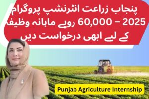 punjab agriculture