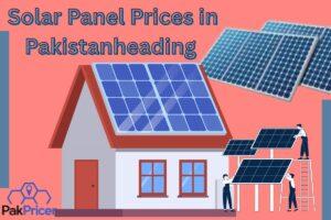solar panal rate