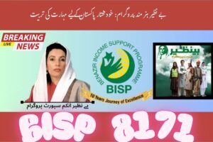 banazir hunarmand programme skill